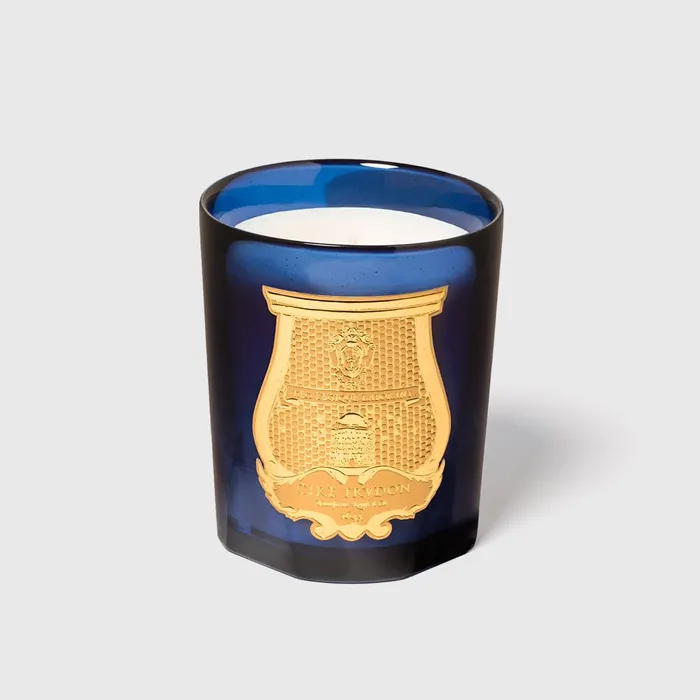 Cire Trudon Earrings Salta Scented Candle Grapefruit