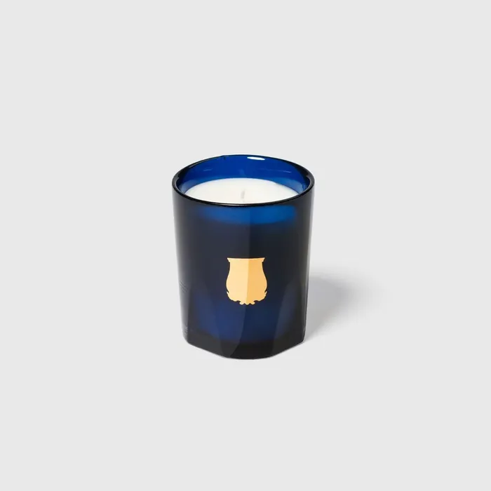 Cire Trudon Earrings Salta Scented Candle Grapefruit