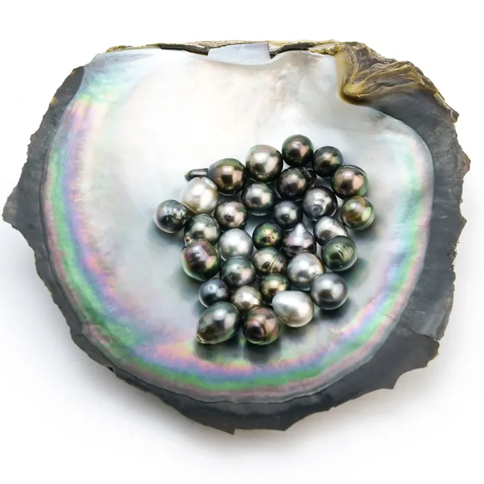 Earrings Kamoka Pearl Surprise 8 to 10mm Loose Kamoka Tahitian Pearl