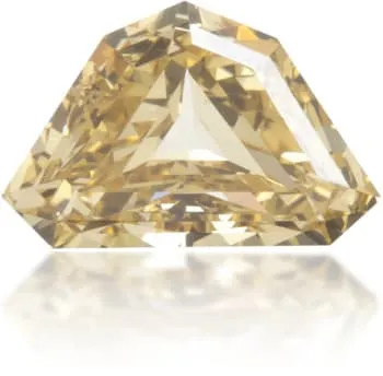 Earrings Langerman Diamonds Natural Brown Diamond Heptagon 036 ct Polished Earrings Langerman Diamonds Natural Brown Diamond Heptagon 036 ct Polished