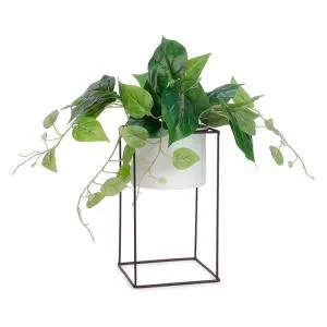 Foliage Plant in White PotRack Attitudes Import Earrings