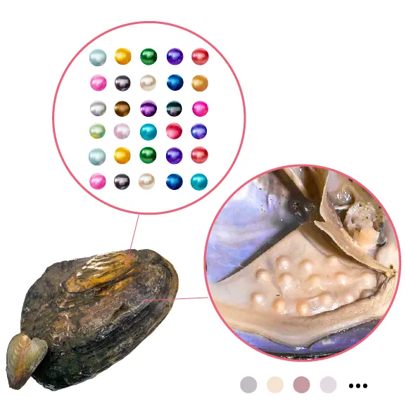 Monster Oyster Rainbow Monster with Colorful Pearls and 2040 Embedded Natural Pearls YFRAINBOW Necklaces Monster Oyster Rainbow Monster with Colorful Pearls and 2040 Embedded Natural Pearls YFRAINBOW Necklaces