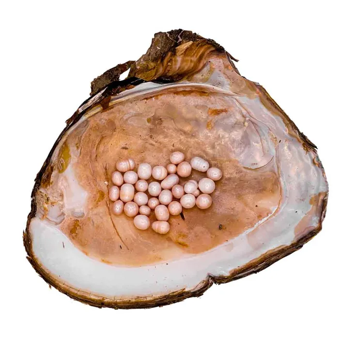 Monster Oyster Rainbow Monster with Colorful Pearls and 2040 Embedded Natural Pearls YFRAINBOW Necklaces