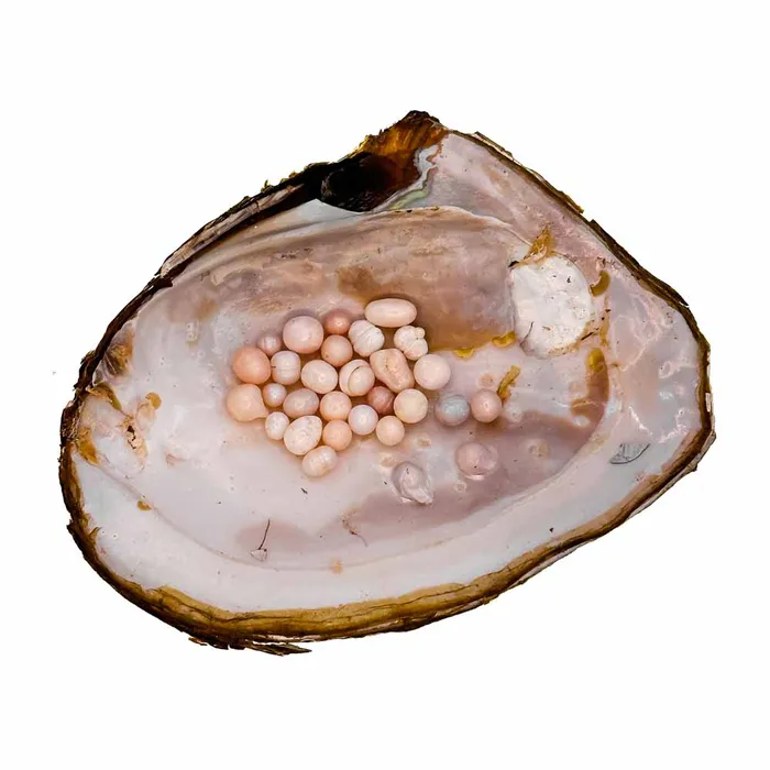 Monster Oyster Rainbow Monster with Colorful Pearls and 2040 Embedded Natural Pearls YFRAINBOW Necklaces