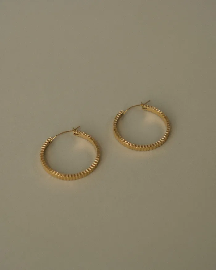 Paige Ribbed Hoop Earrings MYJN Earrings