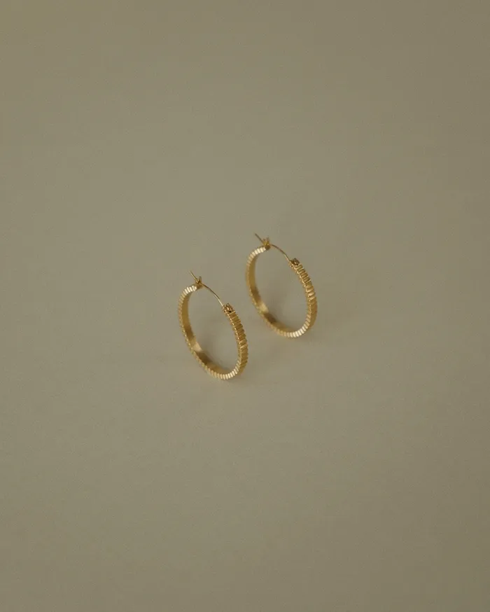 Paige Ribbed Hoop Earrings MYJN Earrings