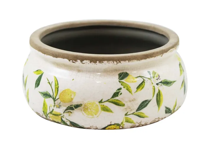 Rings Round Lemon Bowl Planter Splash