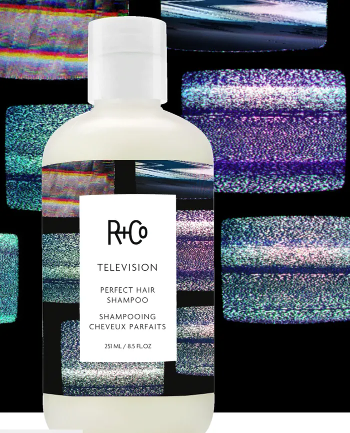 TELEVISION PERFECT HAIR SHAMPOO R Co Earrings